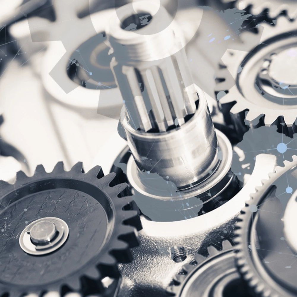 image - 2025-08-12T121242.450